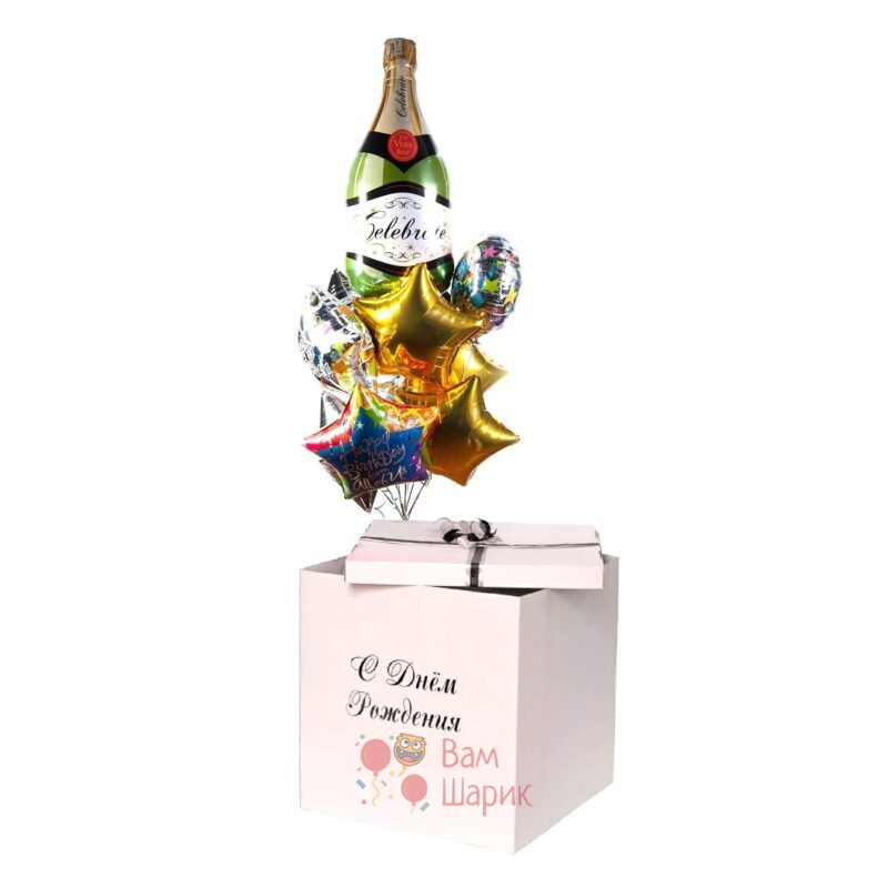 шары День Рождения с шампанским и звездами в коробке